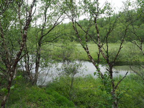 Utsjoki Suttesjohka
