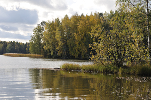 Anabolisa nervosa Karjaa Korpuudden