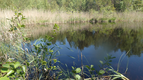 Åland Lemland Gloet