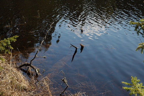 3.5.2008 Nummi-Pusula, Kärkölä