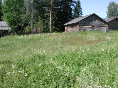 Nummi-Pusula Myllymäki 18.7.2004