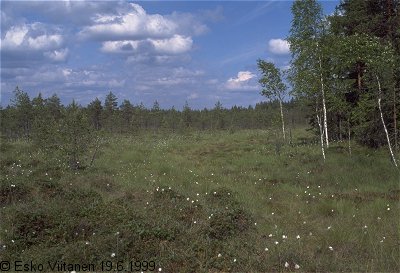 Löytynsuo 19.6.1999 V:Nummi-Pusula 672:33