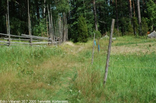 Tammela Korteniemi 30.7.2005