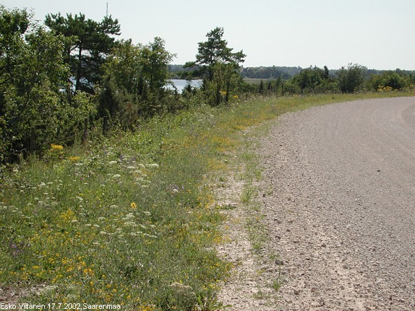 Viro Saarenmaa 17.7.2002